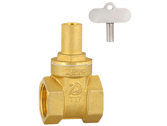 Lock gate valve
