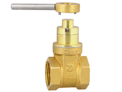 Magnetic lock gate valve